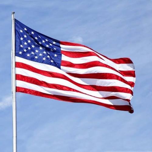 Flag - American 2
