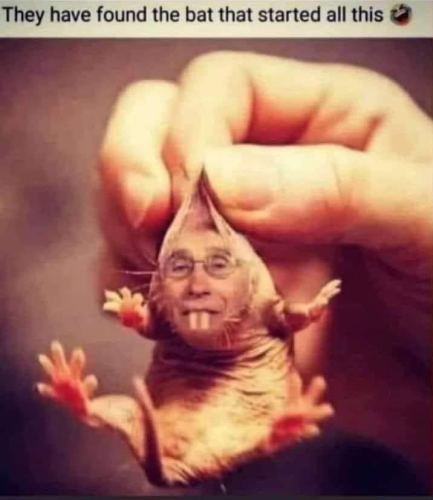 M bat