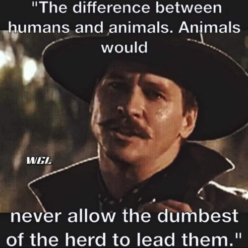 1643070152497_hub_od_