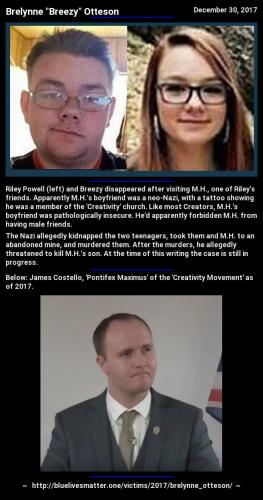 2017-brelynne_otteson-infocard