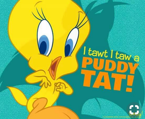 Tweety bird