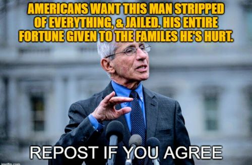 PdzC8A7wJZCf1i5eb8ab_08_87eb008935ac00f440cf120d3a0dfa0b_image_original