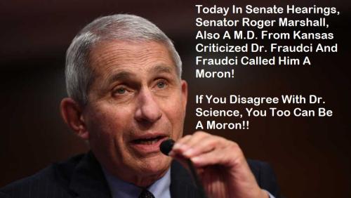 Dr Fauci Calls Dr Senator Moron 2