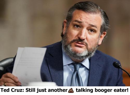 Ted Cruz Just another shit talking booger eater