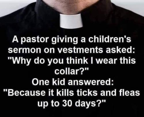 FB_IMG_1641519871370