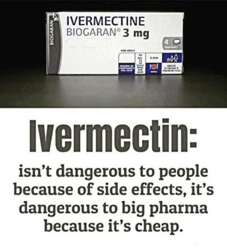 Screenshot_20220111-064140_DuckDuckGo