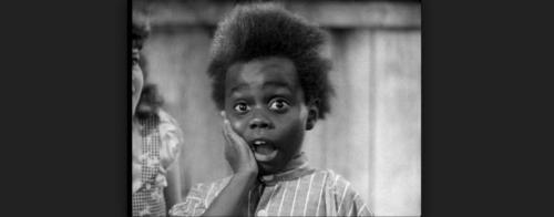 Buckwheat