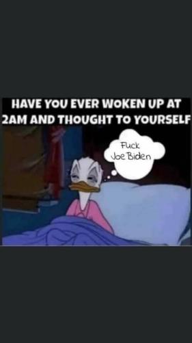 f73eb94374b747bb (1)