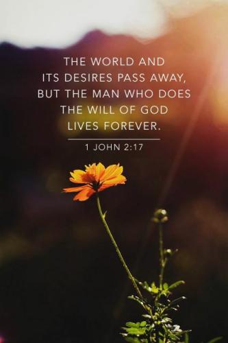 dac14e9f-622f-42a6-a055-ee589e855042