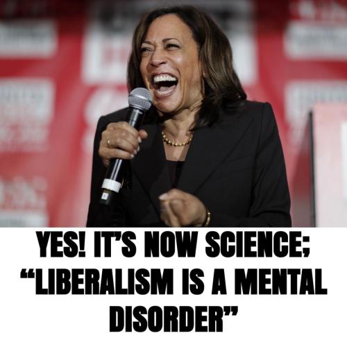 image_1642695766.911