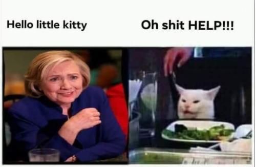 BIDENHILLSMARTCATUNDERATTACK