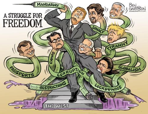 Struggle For Freedom