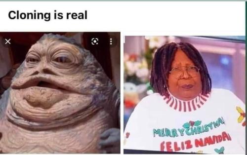 Whooopie Whopper Maga