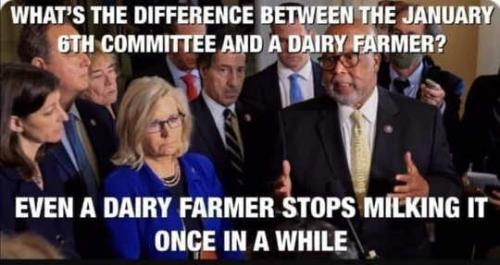 WHATS THE DIFFERENCE