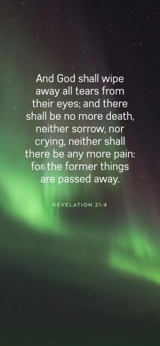 D946CD27-583D-48A6-AEBA-61136DDA7E15