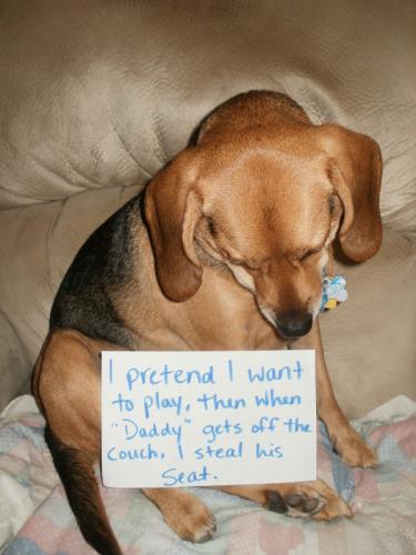 steal seat