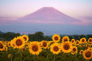 200A4846-434A-41AB-957D-37AAE8A113D2