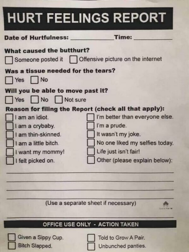 LIBERAL HURT FEELINGS REPORT