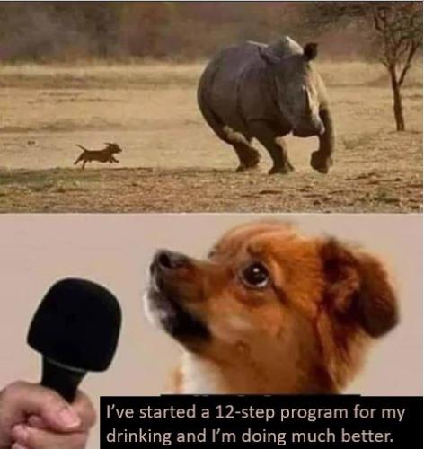 00012 step pup