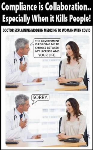 my license your life