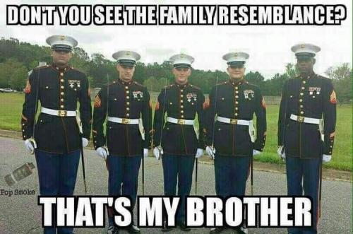 Marines - Family resemblance - Brothers