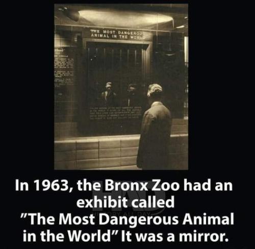 216