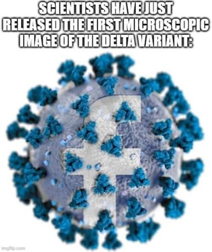 1st Image of Delta Variant Wuhan Virus