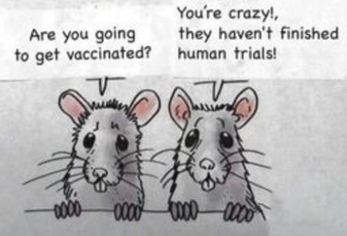 Are you going to get vaccinated