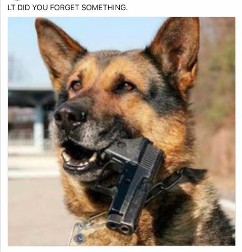 d26