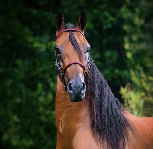 DE8BECED-DA49-42ED-9811-4DADF147E49C