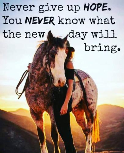 Hope - Don't give up...