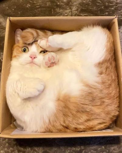 1E909969-9968-40E3-B192-B3989ECEC941