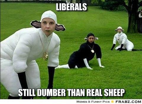 16142490_1439075036133558_8106021399605361652_n