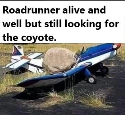 Road Runner looking for coyote
