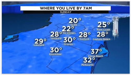 Screen Shot 01-30-22 at 06.52 AM