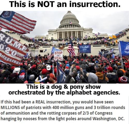 This is not an insurrection SMALL