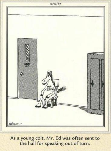 I am Mr Ed