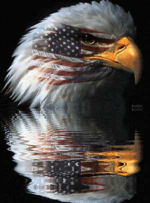 d3630cc53ee343b3256712dbb8af79fd