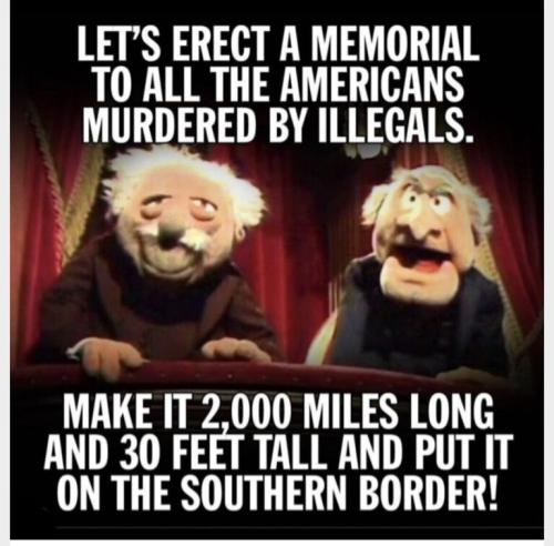 3a377bee53389e5423e590df74d4cf32_500x0