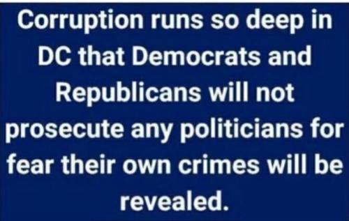 RINOs