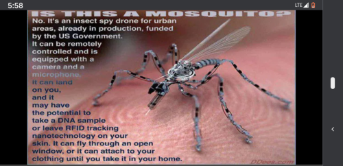 40 Mosquito