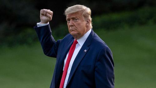 Donald Trump Fighting
