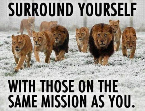 Surround Yourself