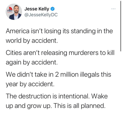 America - Our destruction is intentional