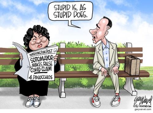 stupidis