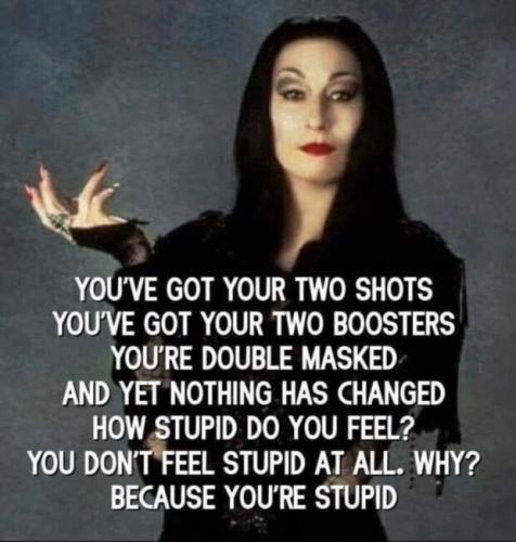 Stupid is as stupid does