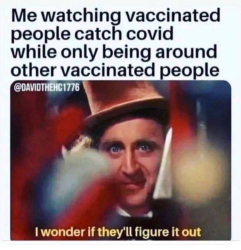 image_1641102185.533