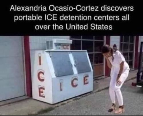 bidenaocdiscoversice