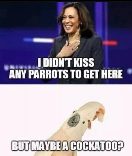 32645197-B95A-466F-ABC9-E77AE360CBB1