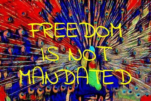 ZomboMeme 07012022213256